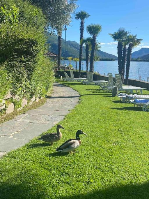 Holiday On The Lake Lugano 2-16 Bissone Dış mekan fotoğraf